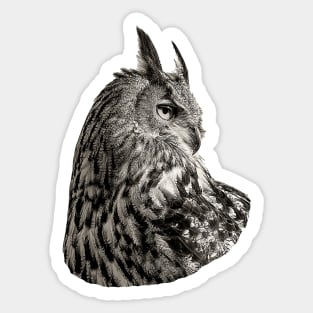 Eurasian Eagle Owl Sticker